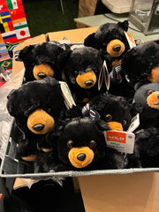 Extra: black bear